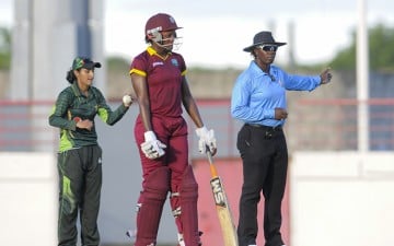 Jacqueline-Williams-signals-wait-360x225