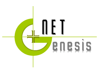 logo-netgenesis-400×300