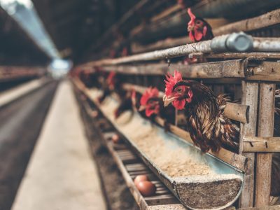 artem-beliaikin-Mpm69Pad_-8-unsplash