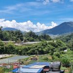 Is the agricultural future of Cameron Highlands at risk?