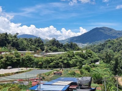 Cameron-Highlands_1_NHA