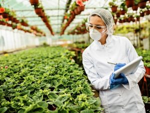 Botanist taking notes while monitoring the development of plants in a greenhouse. | Photo by Drazen Zigic / Freepik / MGBF File Photo