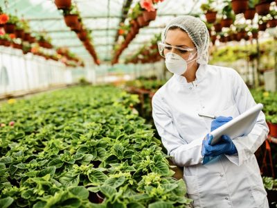 MGBF Food Industry in the Breach_placeholder image