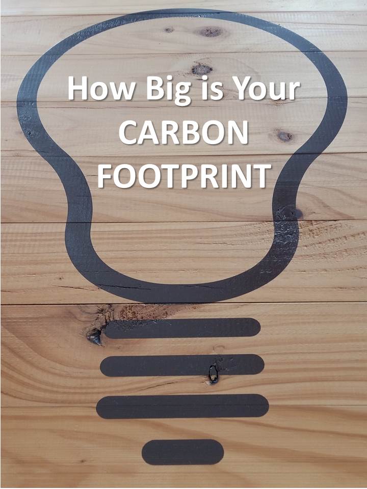 How Big is Your Carbon Footprint