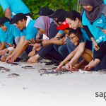 Sapura Energy Volunteers Working to Save the Turtles
